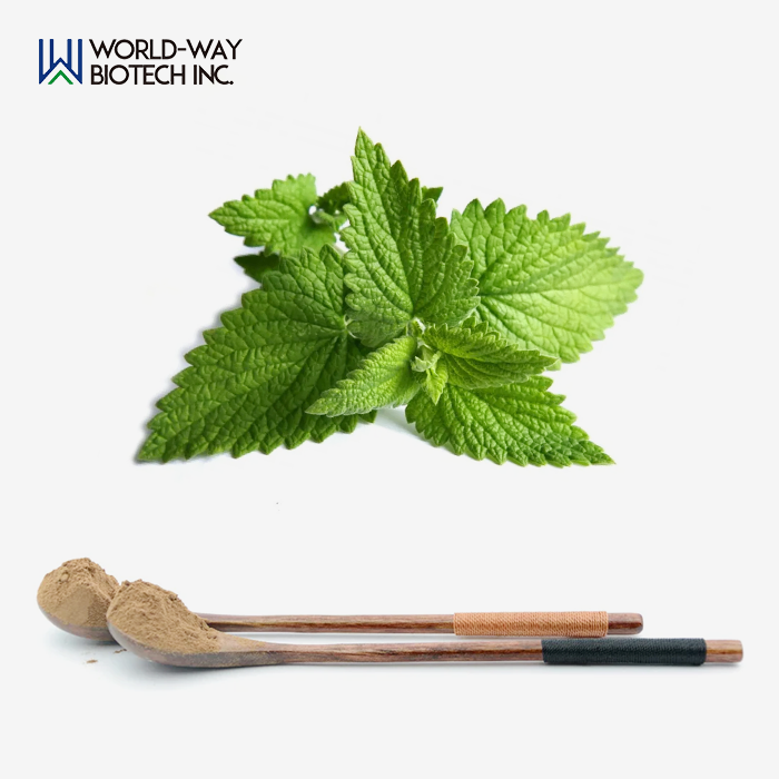Peppermint Extract Powder Peppermint Extract Powder